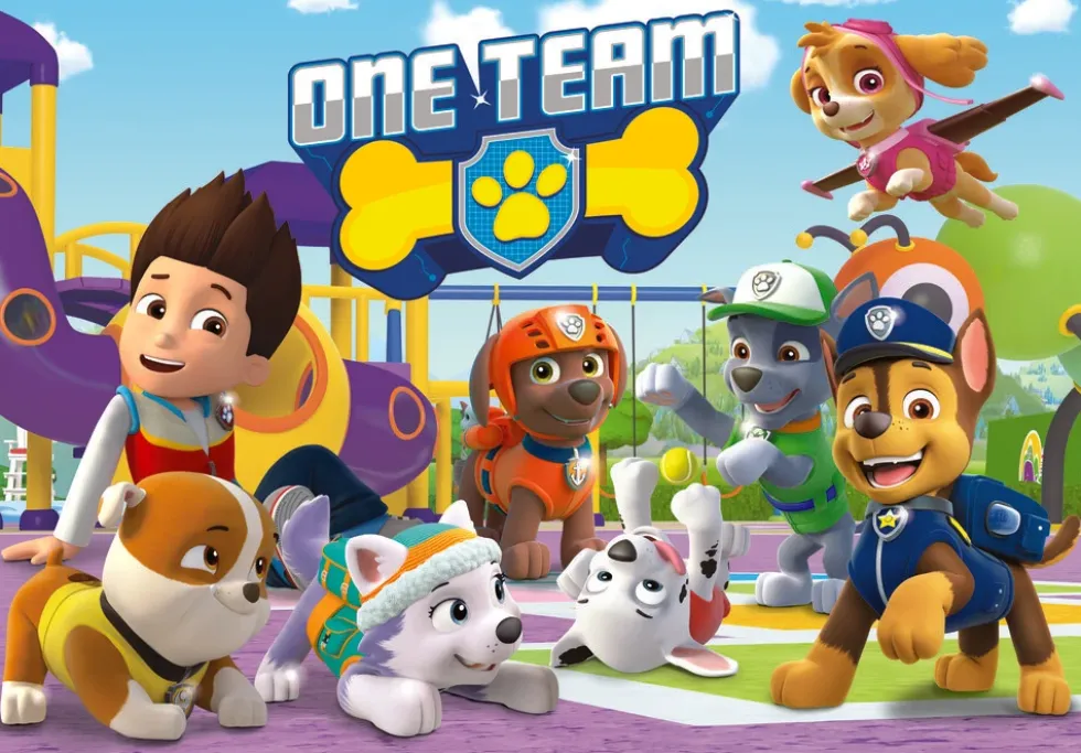Paw Patrol 2x20 brikker
