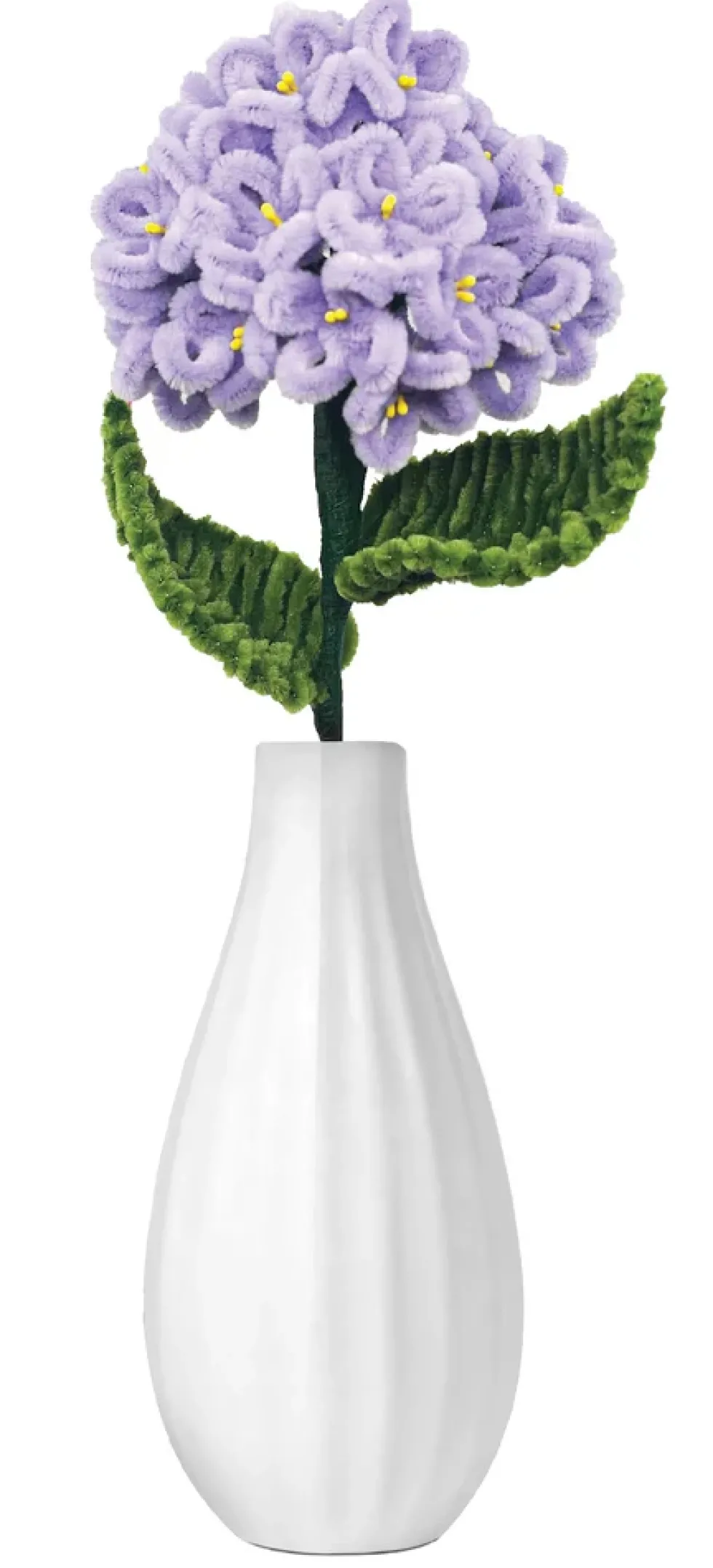 Piberenser blomster hortensia 1 STK