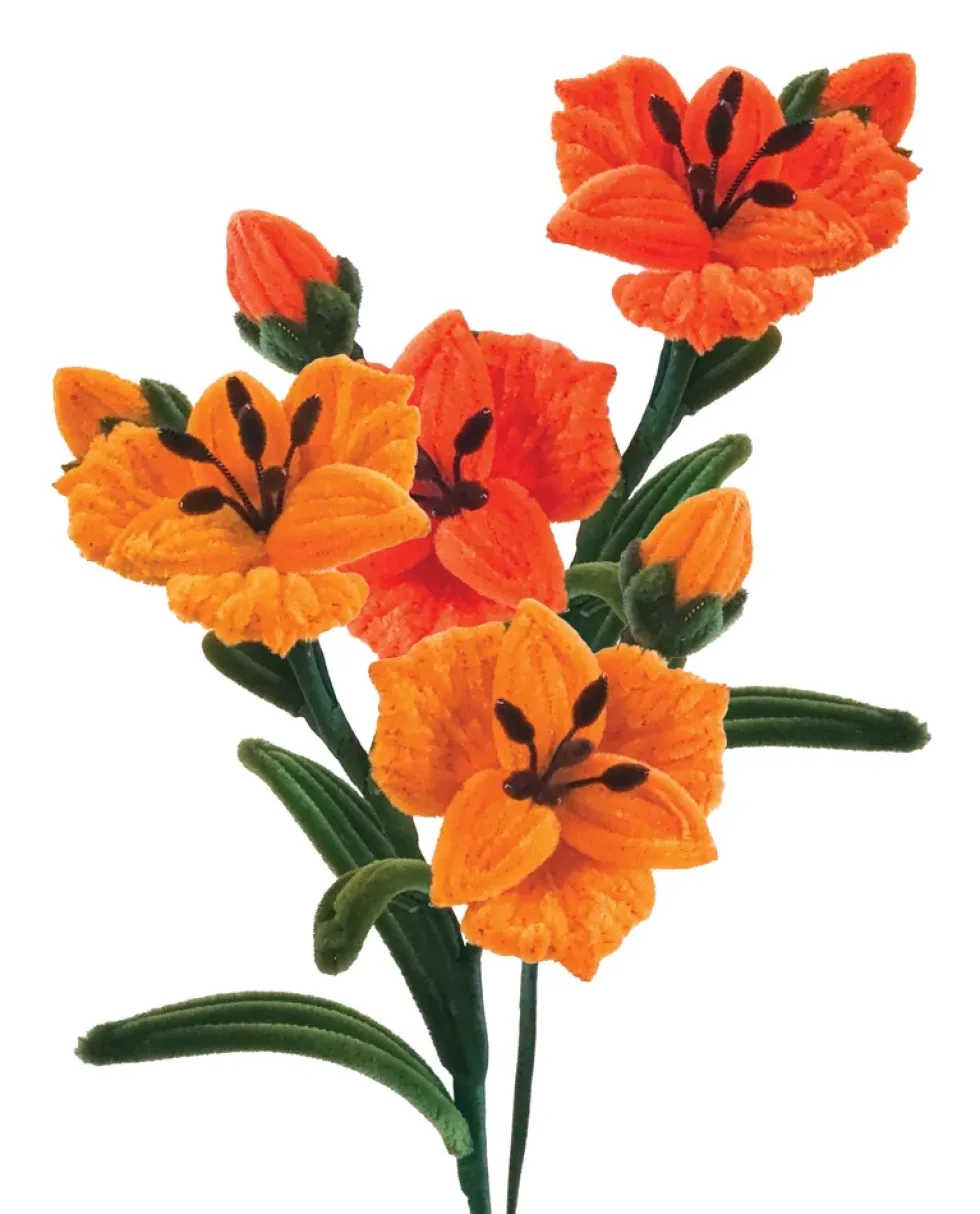Piberenserblomster Inkalilje 2 STK