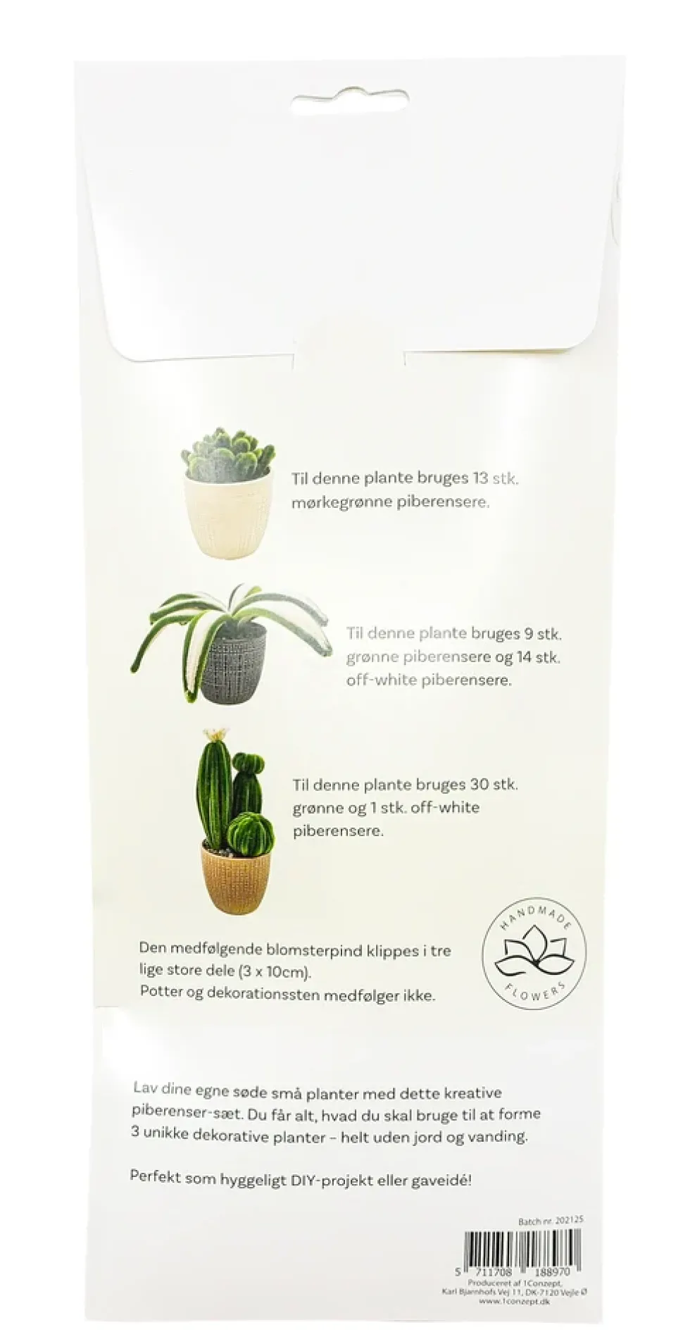 Piberenser Små planter Sukkulent 3 stk