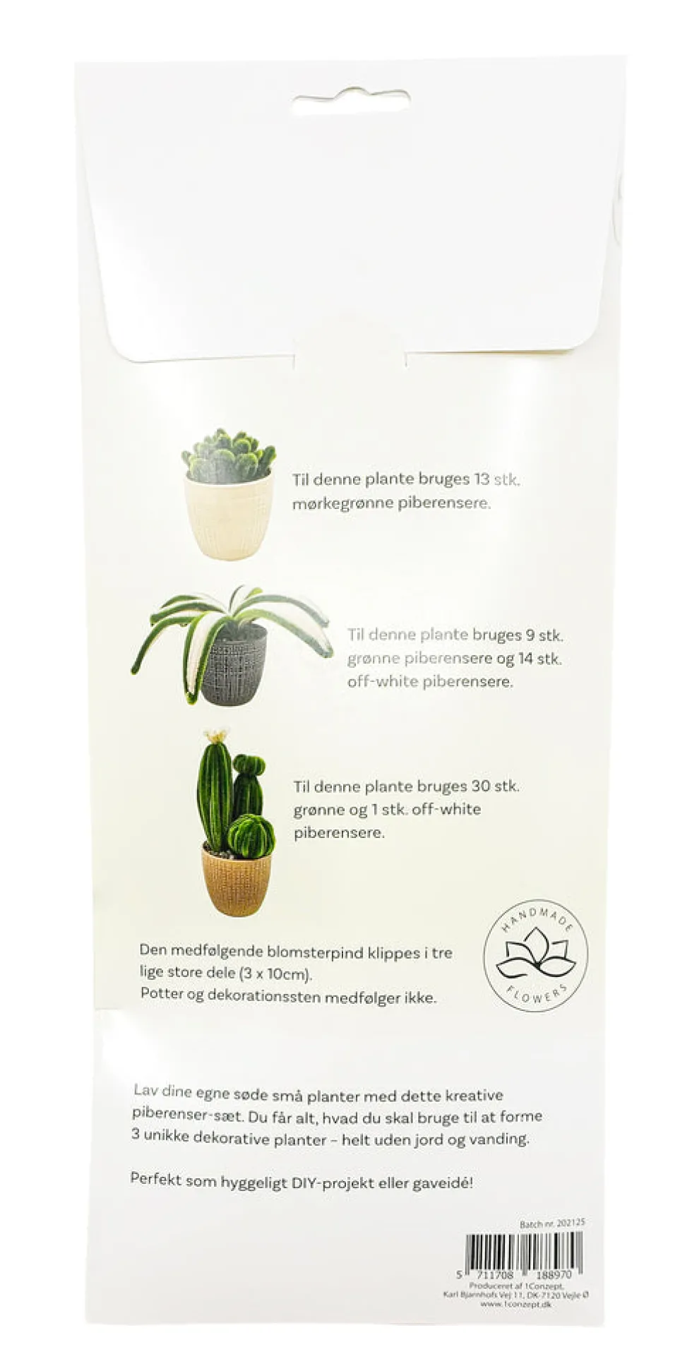 Piberenser Små planter Sukkulent 3 stk