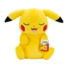 Pokemon sleeping plush Pikachu