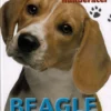 POPULÆRE HUNDERACER: Beagle