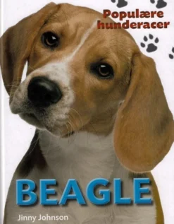 POPULÆRE HUNDERACER: Beagle
