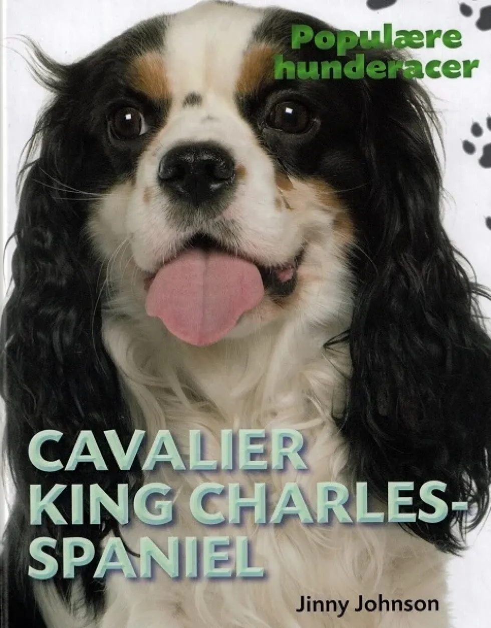 POPULÆRE HUNDERACER: Cavalier King Charles Spaniel