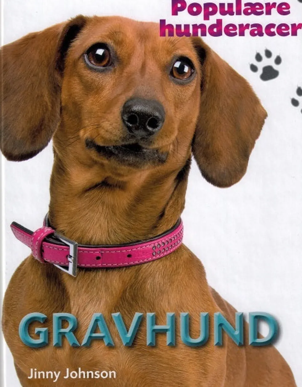 POPULÆRE HUNDERACER: Gravhund