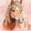 Projekt Pony