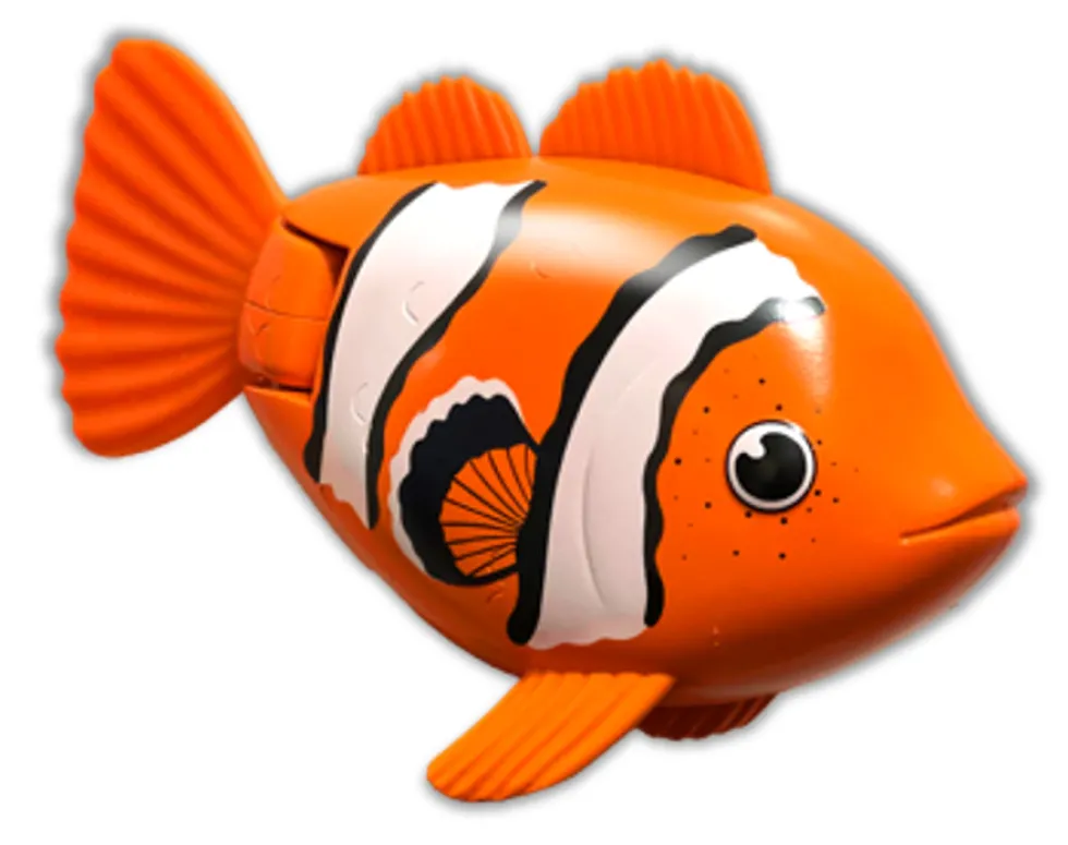 Rainbow Reef Fish - Klovnfisk
