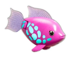Rainbow Reef Fish - Regnbuefisk