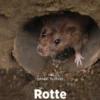 Rotte, Grøn Fagklub