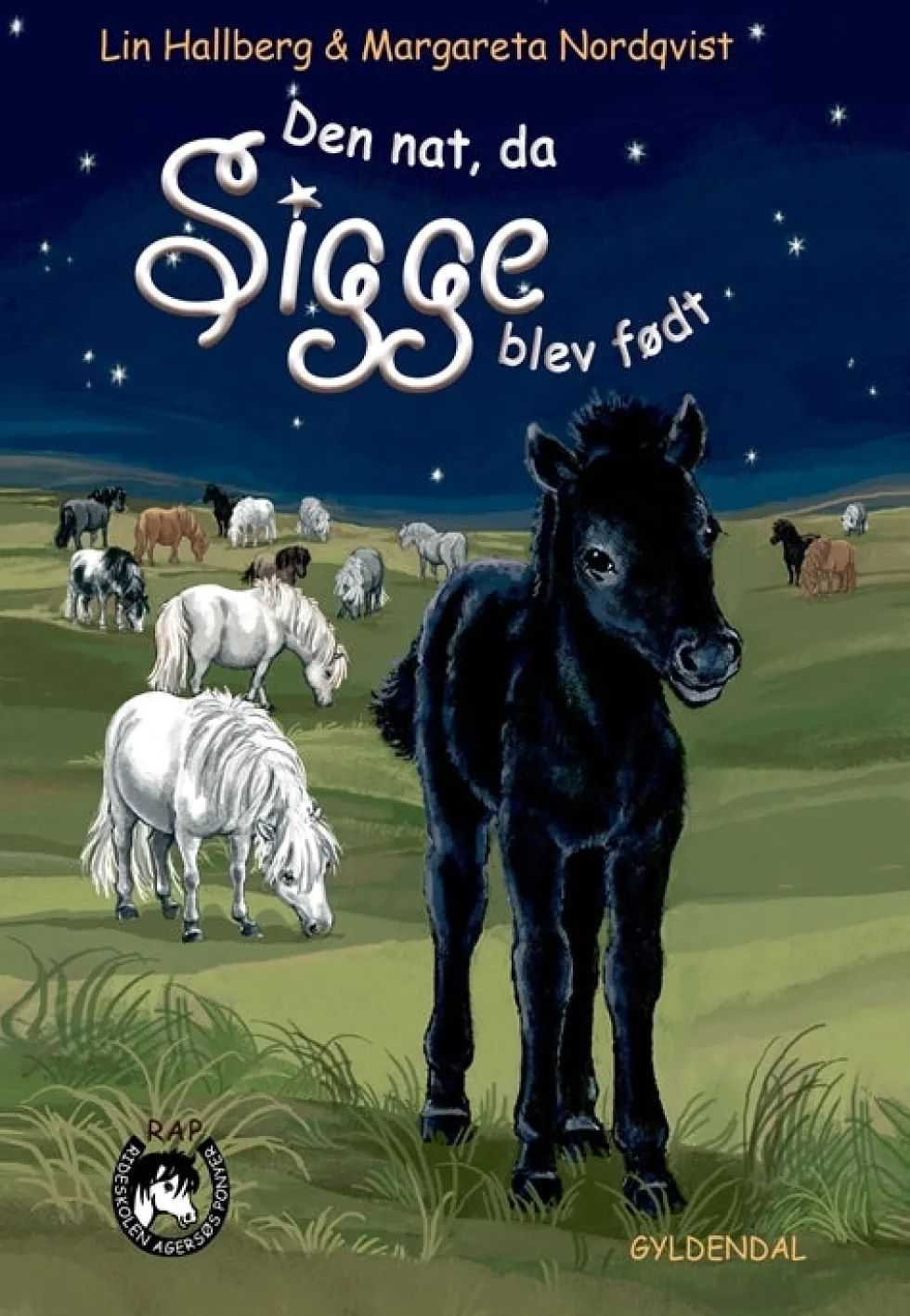 Sam og Sigge 2 - Den nat da Sigge blev født