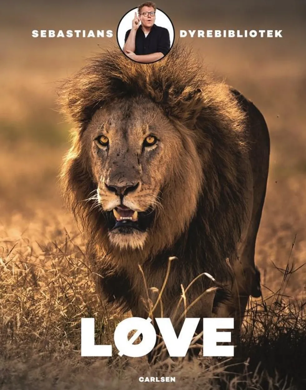 Sebastians dyrebibliotek: Løve