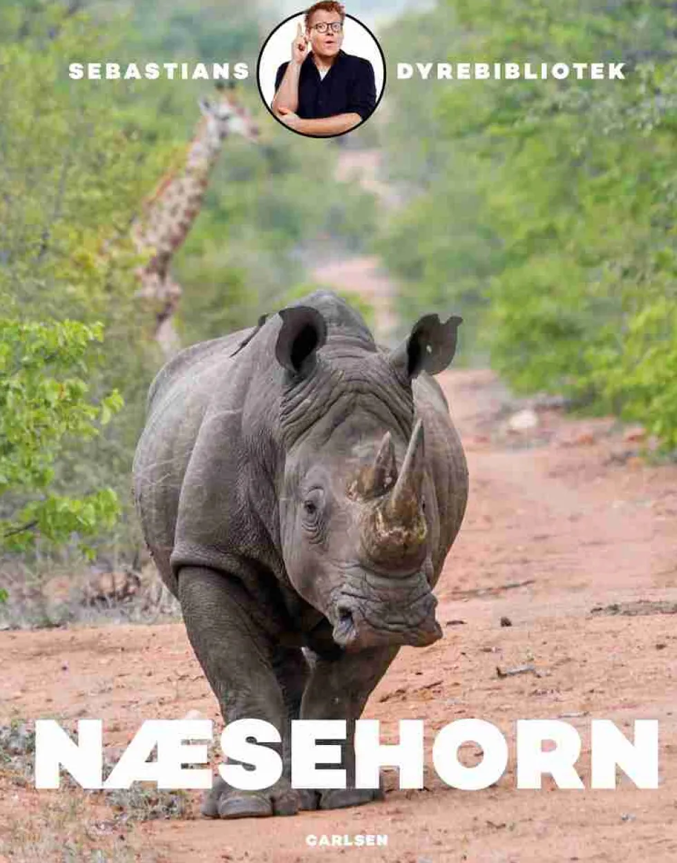 Sebastians dyrebibliotek: Næsehorn