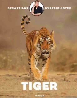 Sebastians dyrebibliotek: Tiger