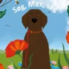 Søg, Max, søg