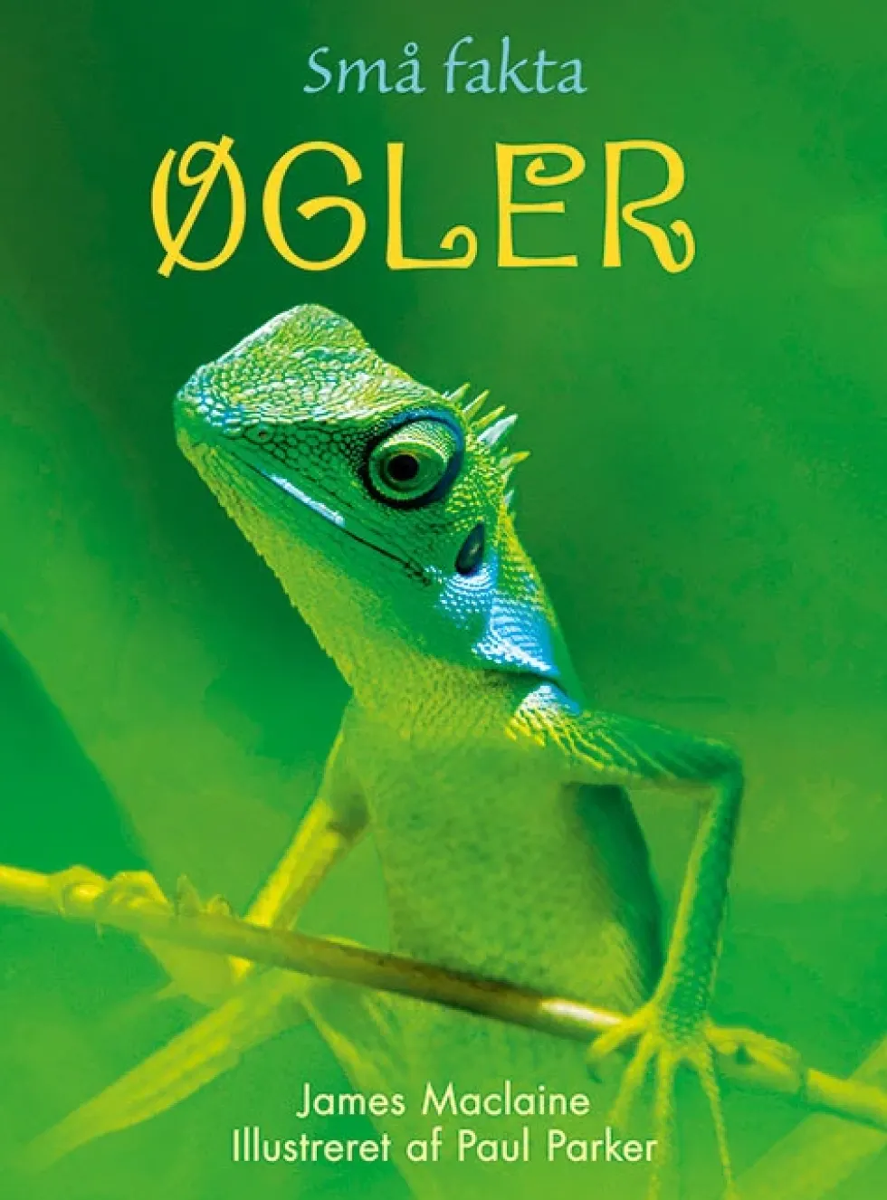 Små Fakta: Øgler