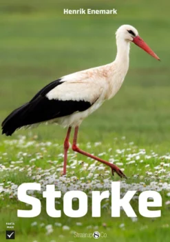Storke