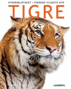 Tigre