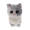 TY Cat beanie boos