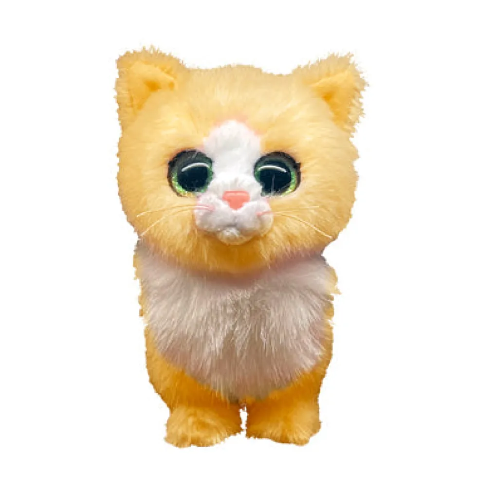 TY Tabbycat beanie boos