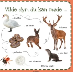 Vilde dyr, du kan møde
